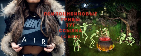 PSILOCYBIN Лабытнанги