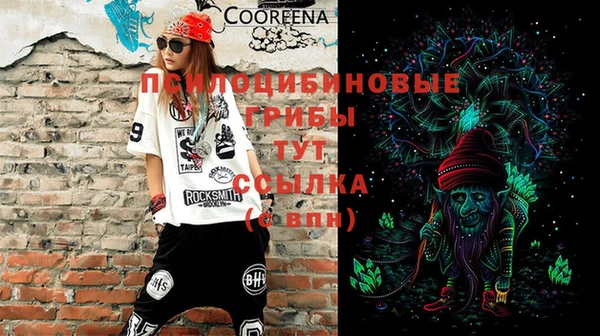 а пвп мука Кукмор