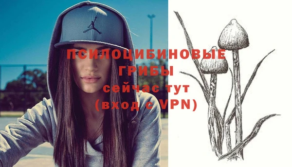 PSILOCYBIN Лабытнанги